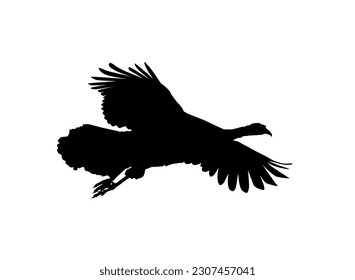 Flying Turkey Silhouette for Art Illustration, Pictogram or Graphic Design Element. The Turkey is a large bird in the genus Meleagris. Vector Illustration