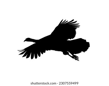 Flying Turkey Silhouette for Art Illustration, Pictogram or Graphic Design Element. The Turkey is a large bird in the genus Meleagris. Vector Illustration