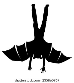 Flying Vampire Bat Character