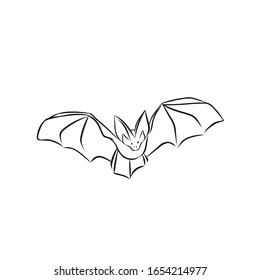 Flying Vampire Bat, isolated on white background. Line art drawing black and white