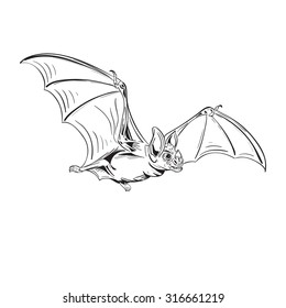 Flying Vampire Bat, isolated on white background. Black magic, witchcraft & darkness symbol. Vintage Vector Element. Tattoo & T-shirt design. Vector line art.