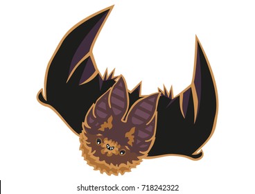Flying vampire bat swooping downwards