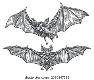 Flying vampire bat. Vintage sketch vector illustration. Design elements for Halloween holiday decoration