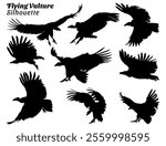 Flying Vulture silhouette illustration set