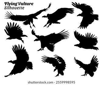 Flying Vulture silhouette illustration set