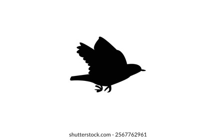 Flying Warbler Bird Silhouette Design  And Vector Illustration. 