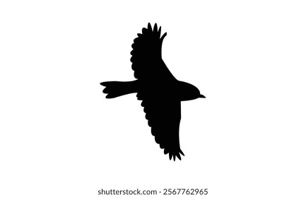 Flying Warbler Bird Silhouette Design  And Vector Illustration. 