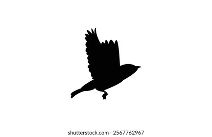 Flying Warbler Bird Silhouette Design  And Vector Illustration. 