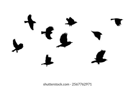 Flying Warbler Bird Silhouette Design  And Vector Illustration. 