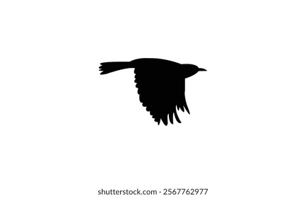 Flying Warbler Bird Silhouette Design  And Vector Illustration. 