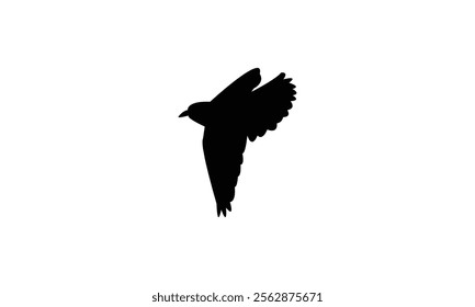 Flying Wheatear Bird Silhouette Design  And Vector Illustration. 