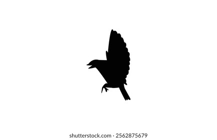 Flying Wheatear Bird Silhouette Design  And Vector Illustration. 