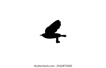 Flying Wheatear Bird Silhouette Design  And Vector Illustration. 