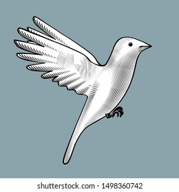 Flying White Bird. Vintage Engraving Stylized Drawing. Vector Illustration