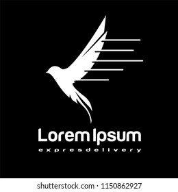 Flying white birds as eagle, hawk, falcon and dove in flight. For business, delivery, transportation or travel design