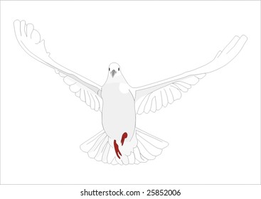 Flying White Dove