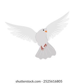 Flying white dove concept for greeting card element, symbol or illustration. Cartoon flat vector isolated on white background.