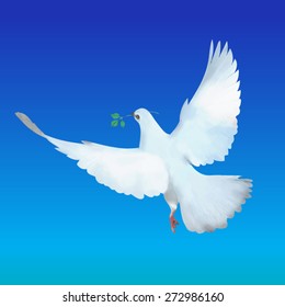 flying white dove with olive branch vector