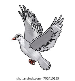 flying white dove on white background as symbol of peace