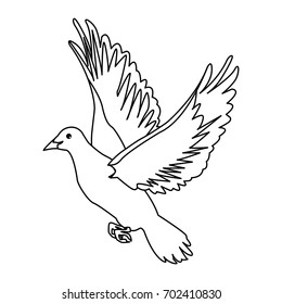 flying white dove on white background as symbol of peace
