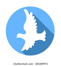 Flying white dove on a blue background with long shadow