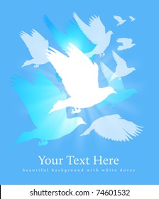 flying white doves background