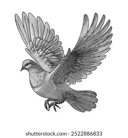 Ilustração de pombas brancas voadoras. Ilustração do estilo de gravação. Paz e amor símbolos de aves . Ilustrações vetoriais isoladas sobre fundo branco.