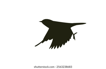 Flying White Eye Bird Silhouette Design  And Vector Illustration. 
