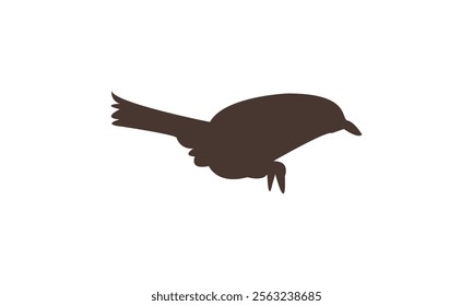 Flying White Eye Bird Silhouette Design  And Vector Illustration. 