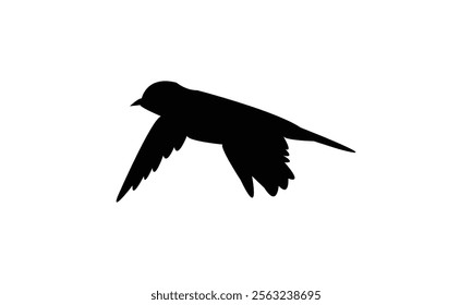 Flying White Eye Bird Silhouette Design  And Vector Illustration. 