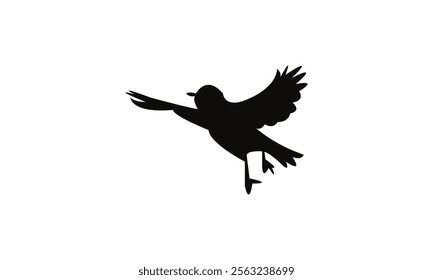 Flying White Eye Bird Silhouette Design  And Vector Illustration. 