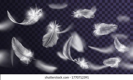 Flying white feathers of a bird or angel, lightness and tenderness elements