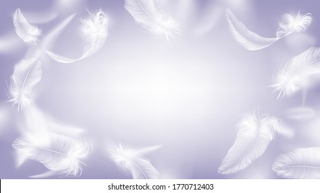 Flying white feathers of a bird or angel, lightness and tenderness background