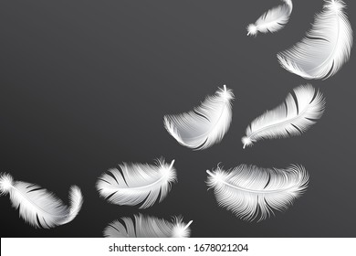 Flying White Feathers. Falling Realistic Bird Or Angel Wings Feather Flow Vector Background.