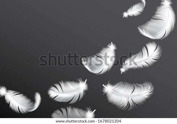 白い羽毛が飛んでいる 落下するリアルな鳥または天使の翼の羽のフローベクター画像背景 のベクター画像素材 ロイヤリティフリー