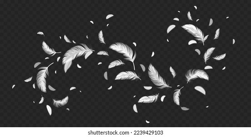 Flying white feathers png isolated on transparent background. Realistic vector illustration of abstract swirl of light fluffy plumage in air. Symbol of lightness, angels flight trail, hope and peace