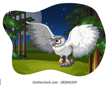 Fliegendes weißes Uhu unter dem Mond und Sternen