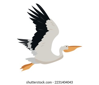 Flying white pelican bird isolated on white background. Graceful Pelican icon. Nature Vector flat or cartoon illustration.