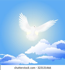 Flying white pigeon in the sky background