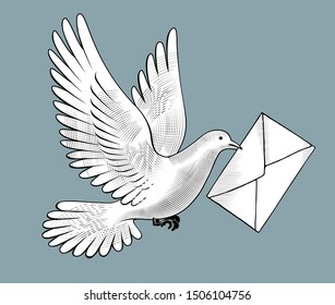 Flying white post pigeon with a letter in an envelope in its beak. Vintage engraving stylized drawing. Vector illustration