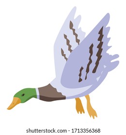 Icono de pato salvaje volador. Iométrico del icono del vector del pato salvaje volador para el diseño web aislado en fondo blanco