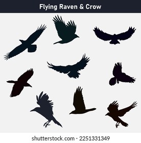 Flying Wild Raven Crow Birds Icon Set