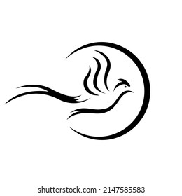 Flying wings bird logo design template, vector illustration, best used for business or company logo