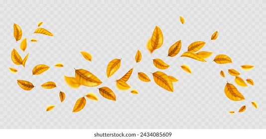 Flying yellow leaf curly wave line on transparent background. Realistic vector illustration of autumn tree foliage float on wind. Herbal natural swirl design element.