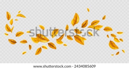 Similar – Image, Stock Photo Autumn colored leaves floating in dark water