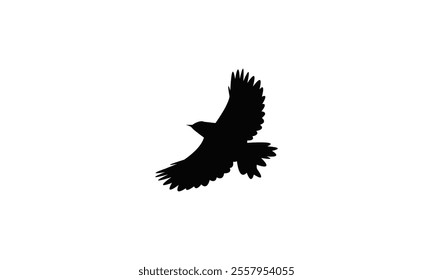 Flying Zitting Cisticola Bird Silhouette Design  And Vector Illustration. 