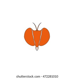 Fly's head icon. Insect illustration.