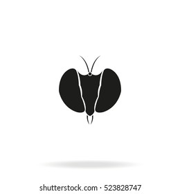 Fly's head icon. Insect illustration.