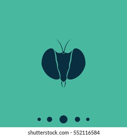Fly's head icon. Insect illustration.