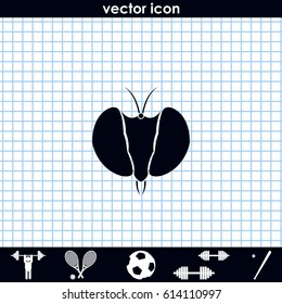Fly's head icon. Insect illustration.